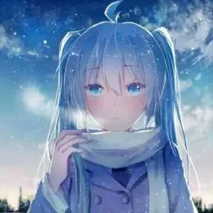 留言者夜航座位C头像